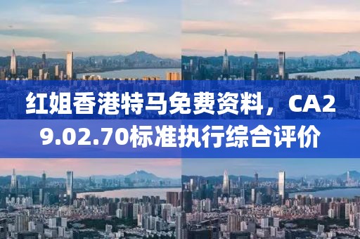 红姐香港特马免费资料，CA29.02.70标准执行综合评价