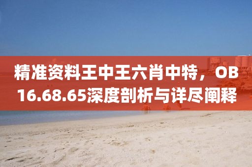 精准资料王中王六肖中特，OB16.68.65深度剖析与详尽阐释