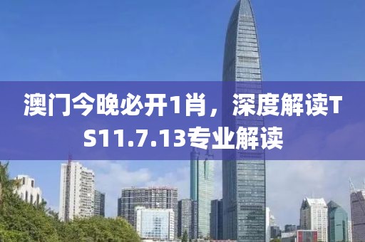 澳门今晚必开1肖，深度解读TS11.7.13专业解读
