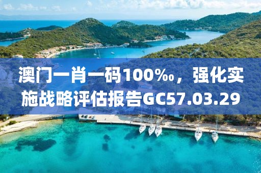 澳门一肖一码100‰，强化实施战略评估报告GC57.03.29