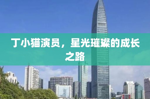 丁小猫演员，星光璀璨的成长之路