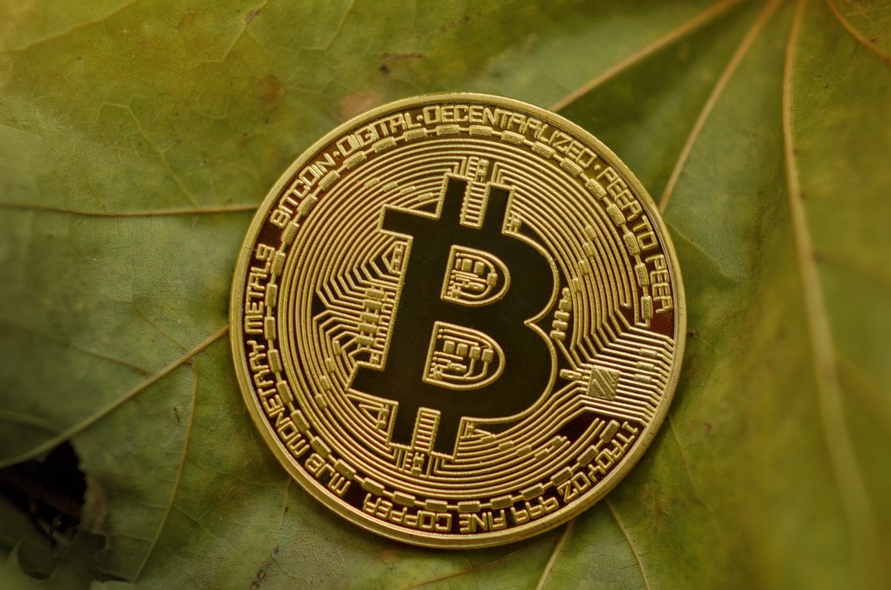 最新4333，引领未来的数字密码揭秘