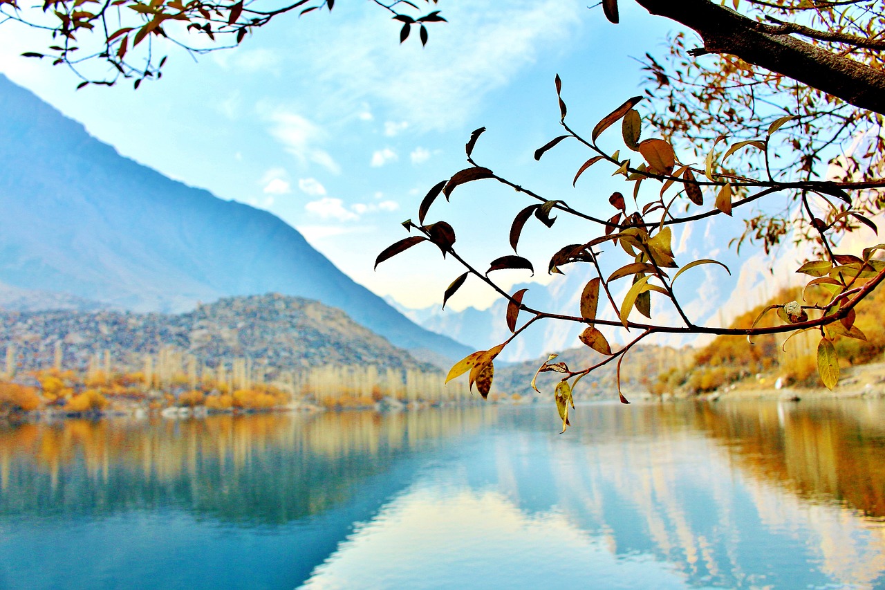 绚烂秋景，自然画卷展现多彩季节风采