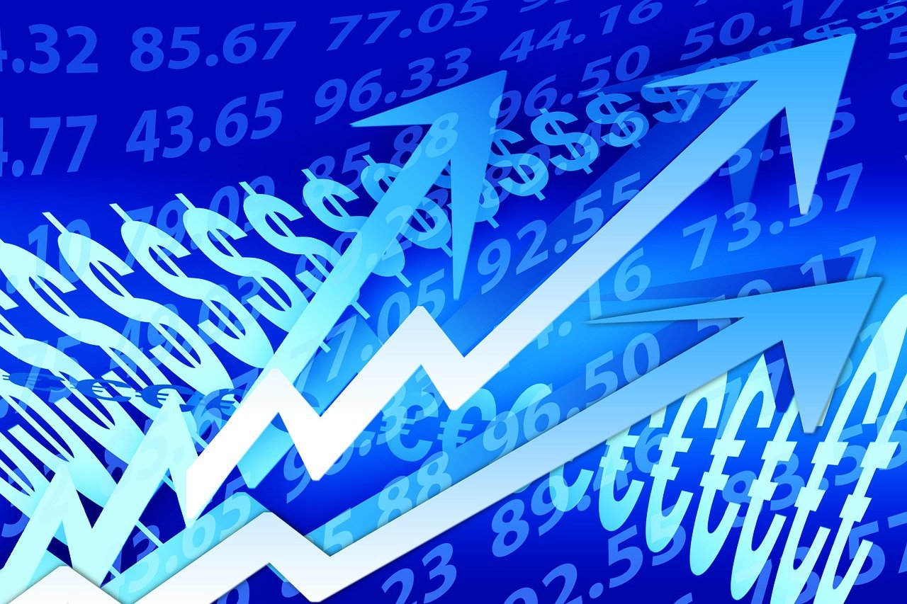 最近几日活羊价格行情分析与趋势预测