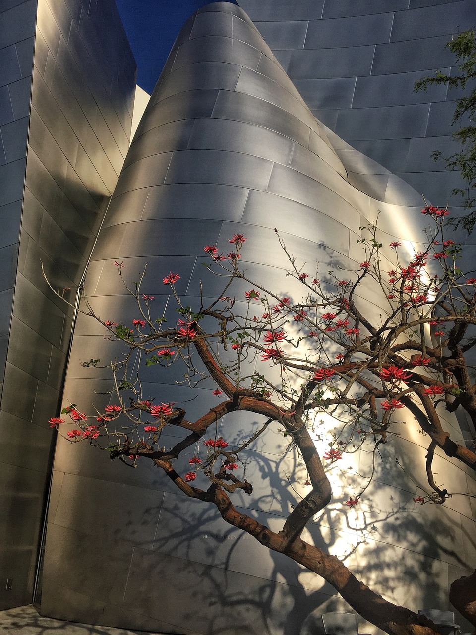 商丘最新建设动态，城市发展的步伐与未来展望