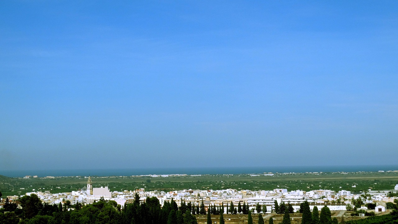 纸箱市场最新动态概览