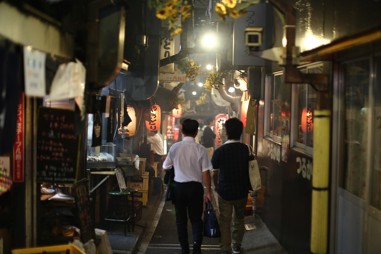 五月日本老演员的魅力与传承，经典再现，世代传承的艺术风采