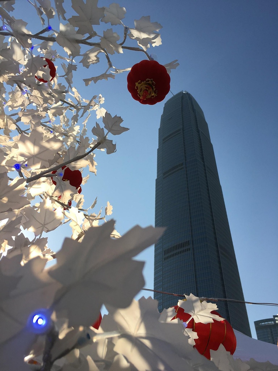 探索香港电影新篇章，2017年5月三级电影概览