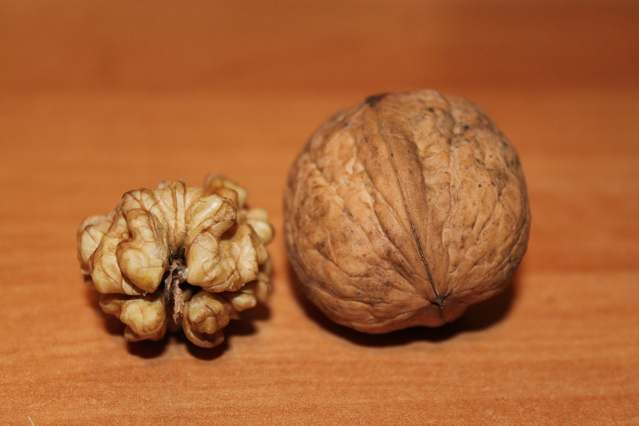 五月新鲜核桃上市时间及季节特点解析